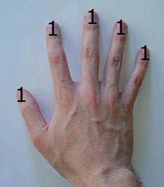 Base-1 computation on a human hand: all fingers count as 1 unit