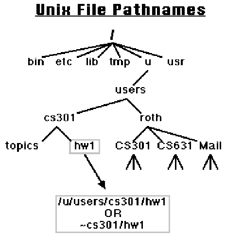 figure49