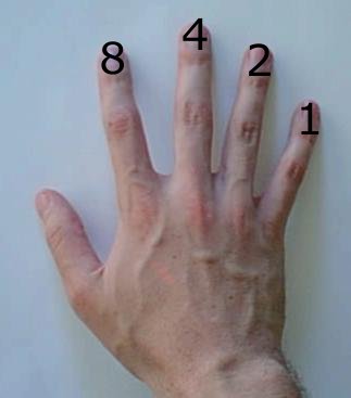 Base-2 computation on a human hand: finger values are 8, 4, 2, and 1