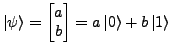 $ \ket{\psi}=\left[\begin{matrix}a\\
b\end{matrix}\right]=a\ket{0}+b\ket{1}$