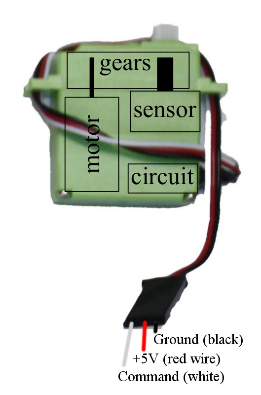 Radio controlled servo, showing white, red, and black
      wires.