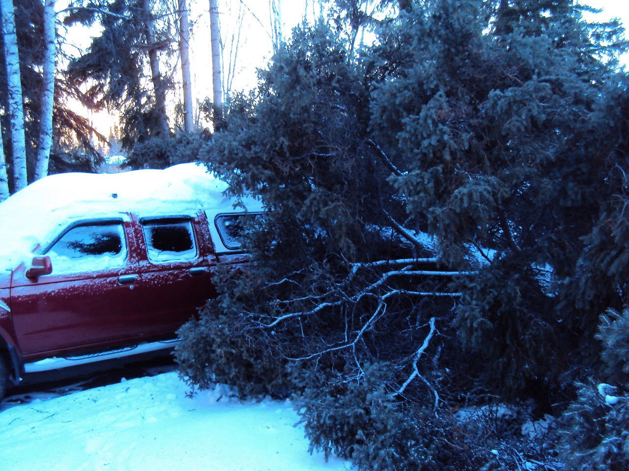 missed our truck by a foot (would have crushed it)