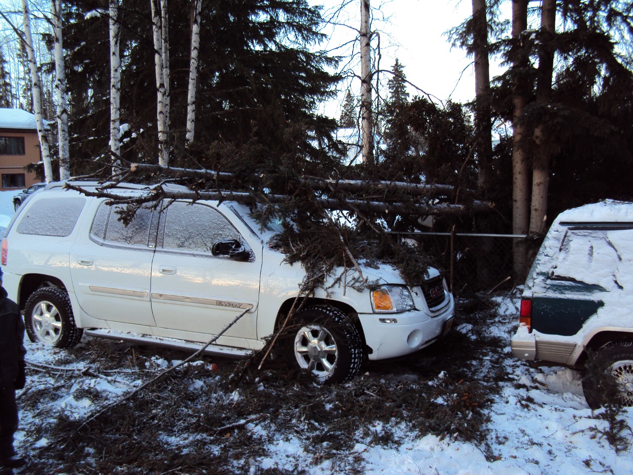 got our neighbors SUV, unfortunately
