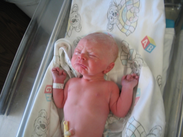 Vera Madeleine Bueler-Faudree