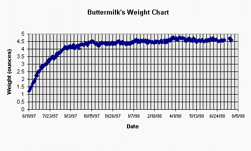 Hamster Years Chart