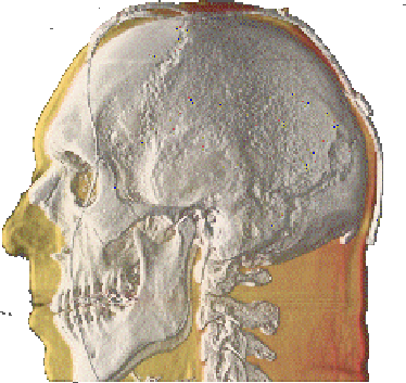 figure187