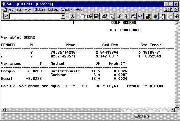 image of SAS window after running program